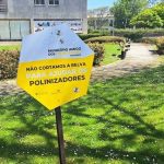 abelhas esposende polarizadores