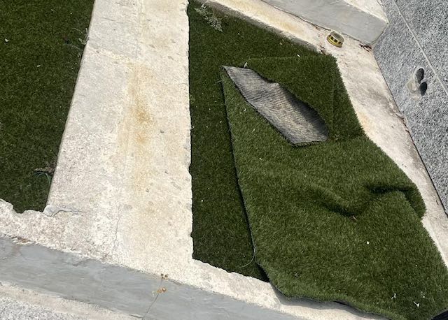 cemiterio vandalizado barcelos 3