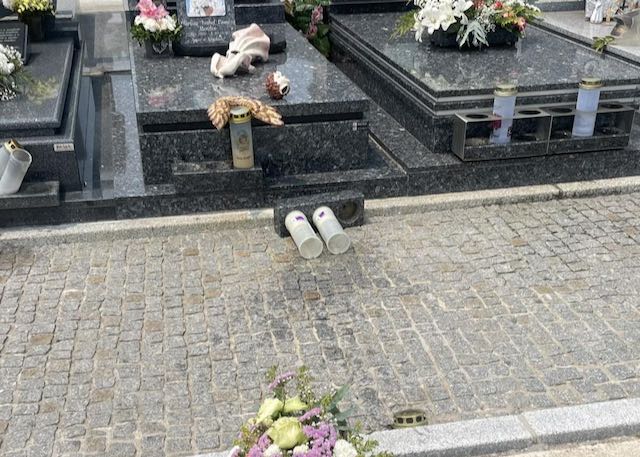 cemiterio vandalizado barcelos 4