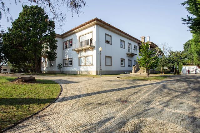 colegio ined porto boavista ensino - 2