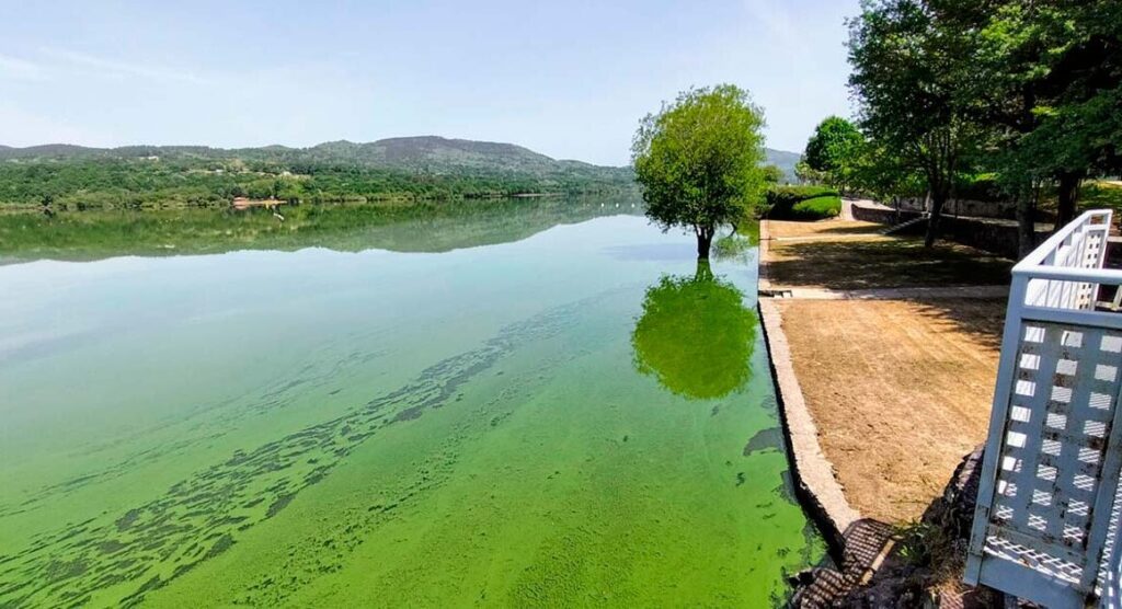 ponte da barca lindoso rio lima conchas