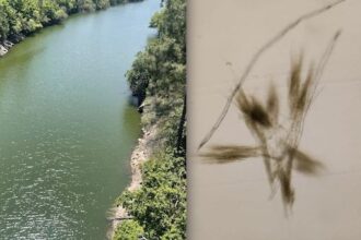 Rio lima contaminação lindoso