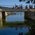 viana ponte