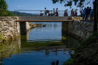 viana ponte