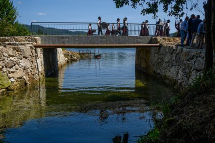 viana ponte
