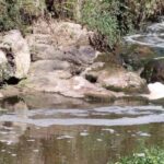 barcelos poluicao