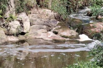 barcelos poluicao