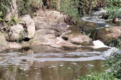 barcelos poluicao