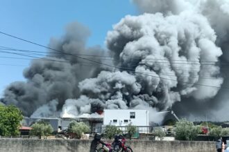 incendio coimbra antanhol - 1