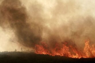 PJ incendios ponte da barca ponte de lima portugal