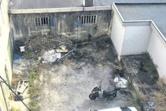 lixo ratazanas braga