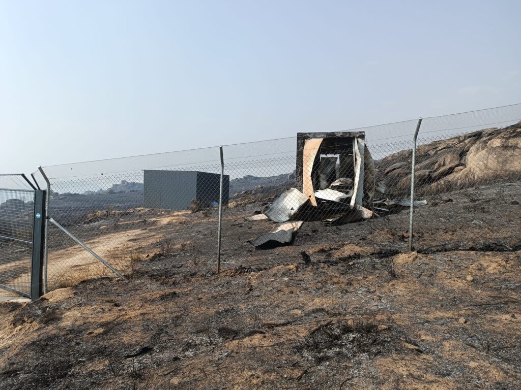 Incêndios: "Acer morreu". Douro Internacional destrói ninhos de abutre-preto e compromete recuperação da espécie douro internacional incendios cria morta Palombar