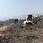 douro internacional incendios cria morta Palombar