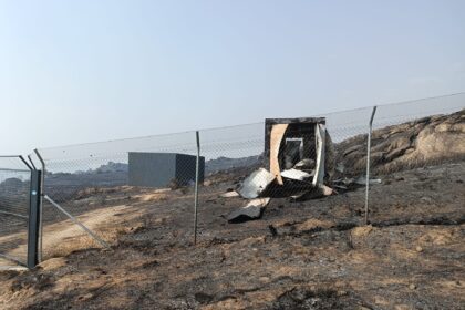 douro internacional incendios cria morta Palombar