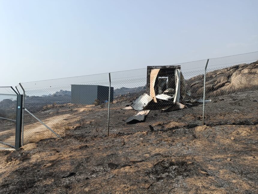 douro internacional incendios cria morta Palombar