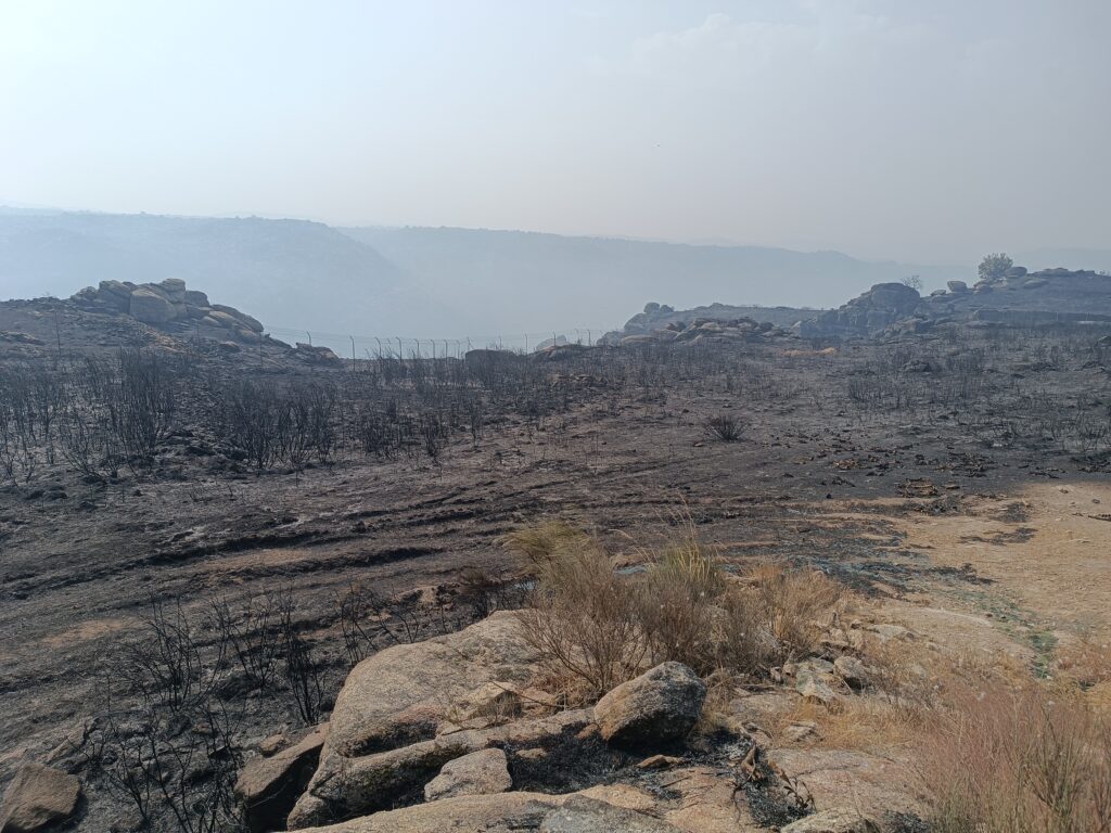 douro incendio