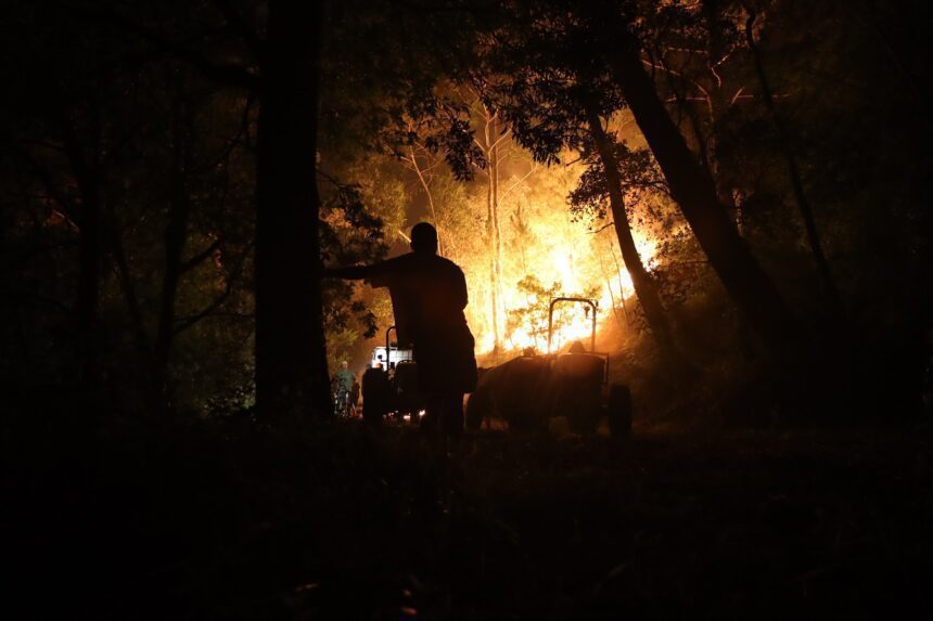 incendio noite