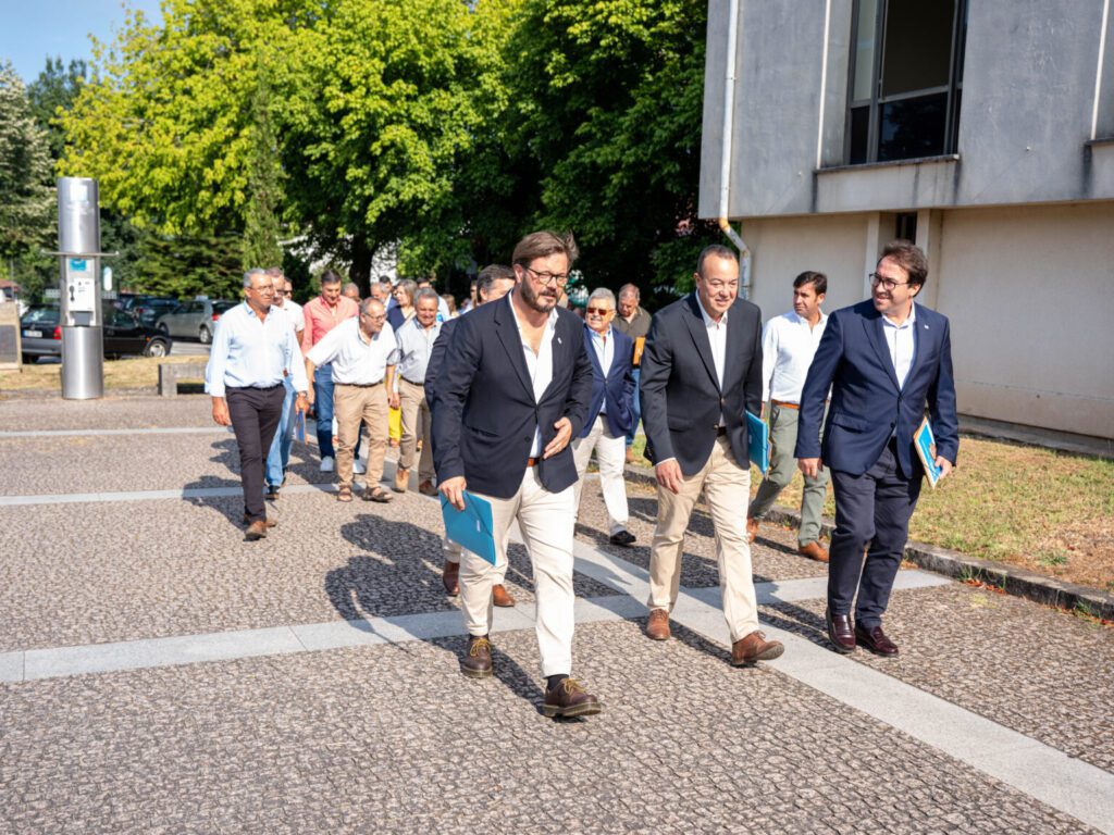 Ponte de Lima: Vasco Ferraz promete creches e habitação acessível vasco ferraz
