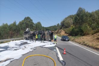 acidente braga EN103 camiao lixo