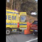 Braga EN103 PCR