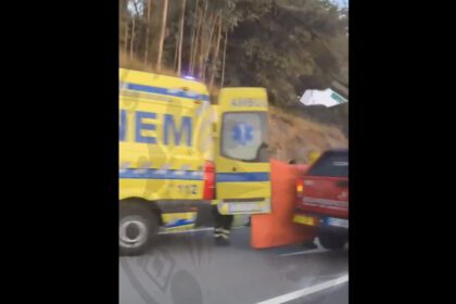 Braga EN103 PCR
