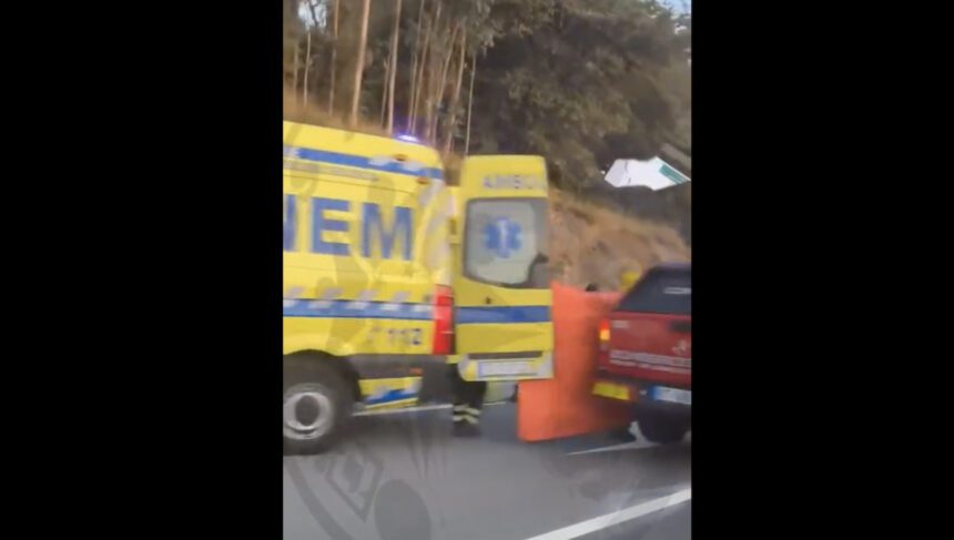 Braga EN103 PCR