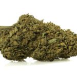 botanica cannabis
