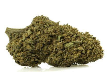 botanica cannabis
