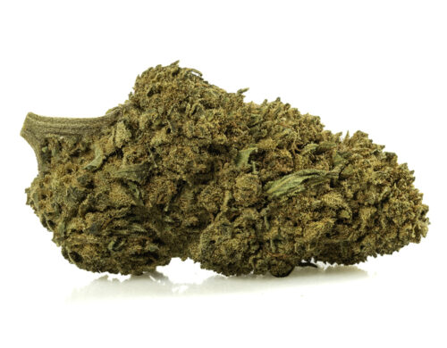 botanica cannabis