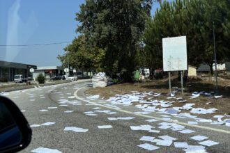 Viana do Castelo carga papeis cai de camiao na EN13 viana neiva