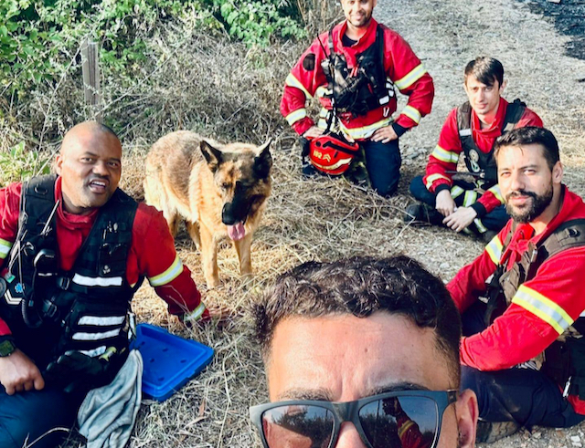 incendio trofa cao nao os larga 1 1