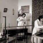 Braga exposição
