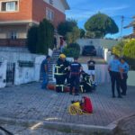 esposende, resgate vitima palmeira de faro bombeiros