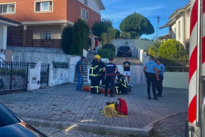 esposende, resgate vitima palmeira de faro bombeiros