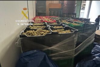 uvas minho guardia civil
