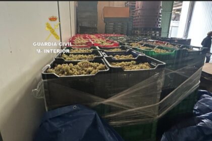 uvas minho guardia civil