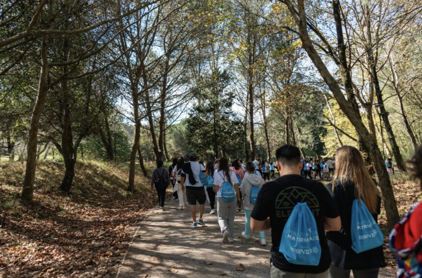 porto maratona maternidade