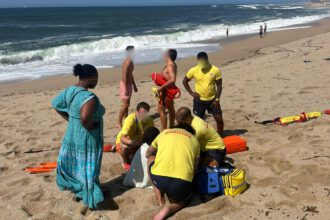 Povoa de Varzim resgate golfinhos praia