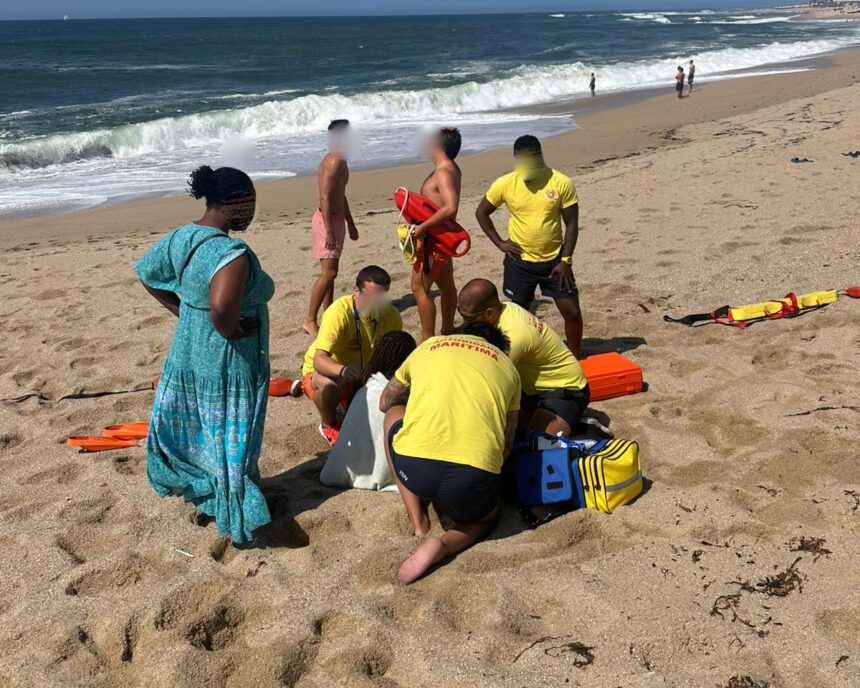 Povoa de Varzim resgate golfinhos praia