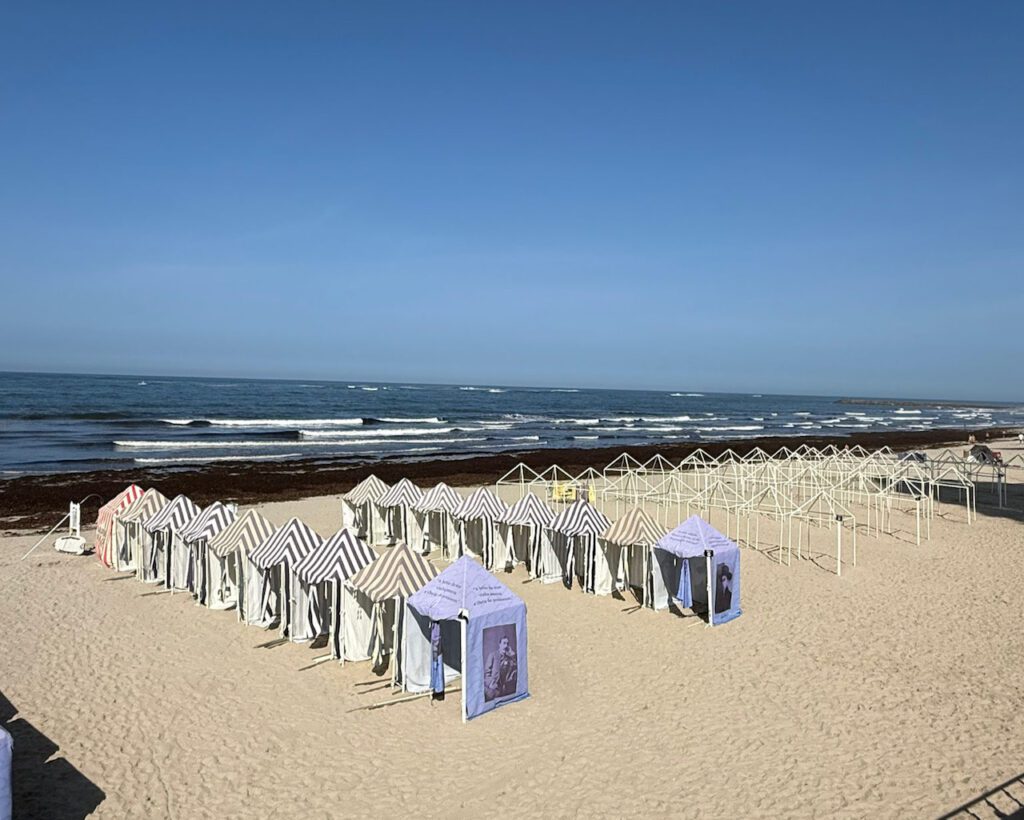 Esposende: Praia de Ofir acorda com manto de sargaço sargaço ofir fao apulia esposende agricultura - 2