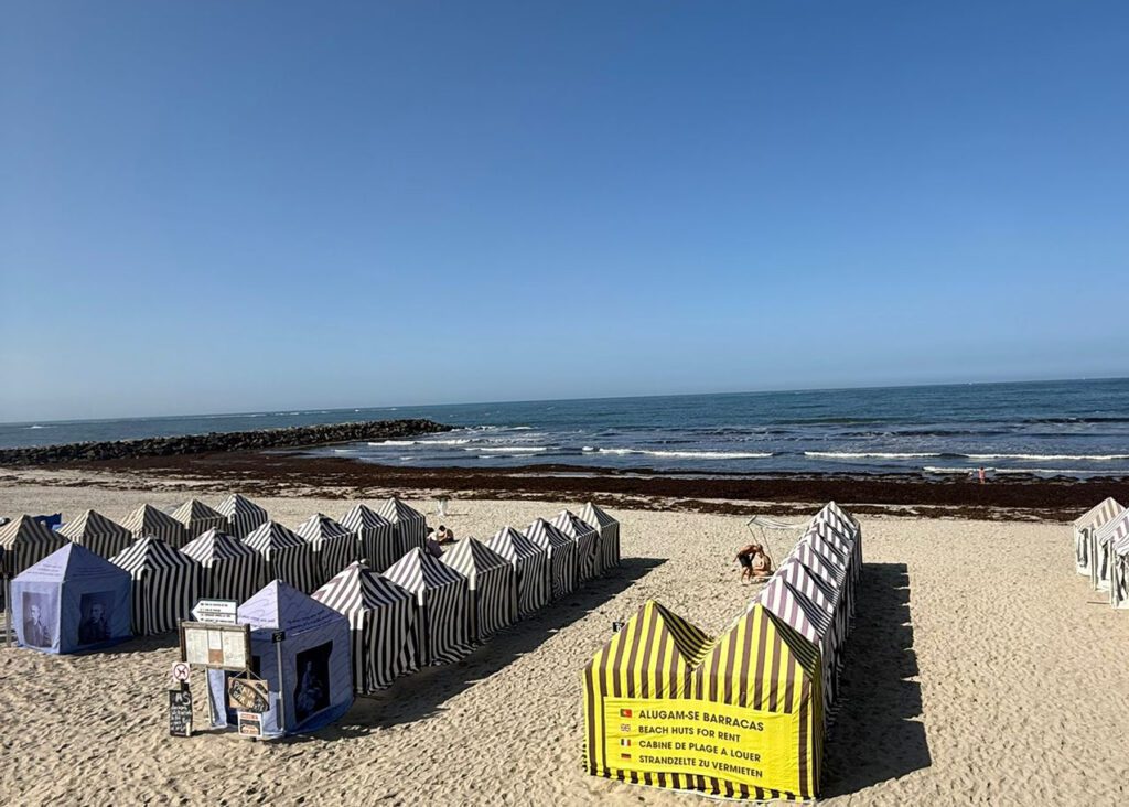 Esposende: Praia de Ofir acorda com manto de sargaço sargaço ofir fao apulia esposende agricultura - 2