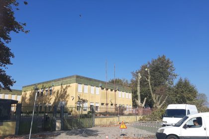 CDU Esposende arvores apulia