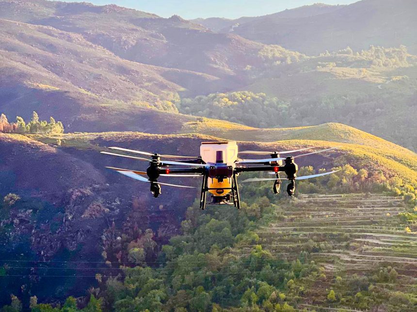 Ponte da Barca: Este drone está a lançar "vida" na Serra Amarela pós-incêndio no PNPG PNPG Geres serra amarela drone espalha sementes incendios - 1