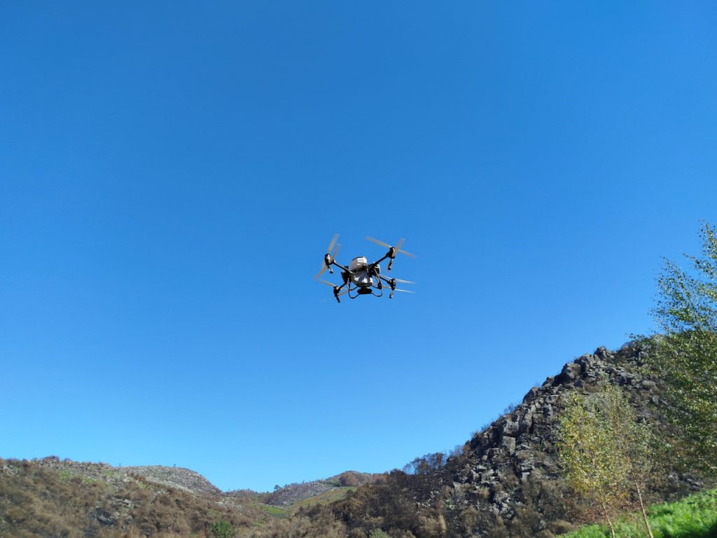 Ponte da Barca: Este drone está a lançar "vida" na Serra Amarela pós-incêndio no PNPG PNPG Geres serra amarela drone espalha sementes incendios - 1
