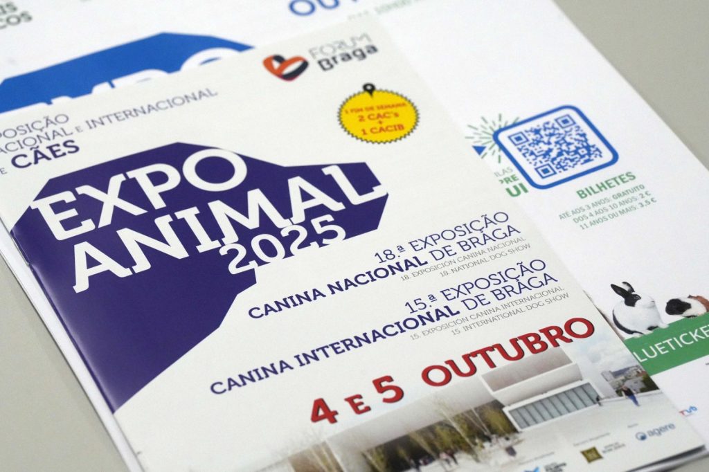 caes gatos expo animal