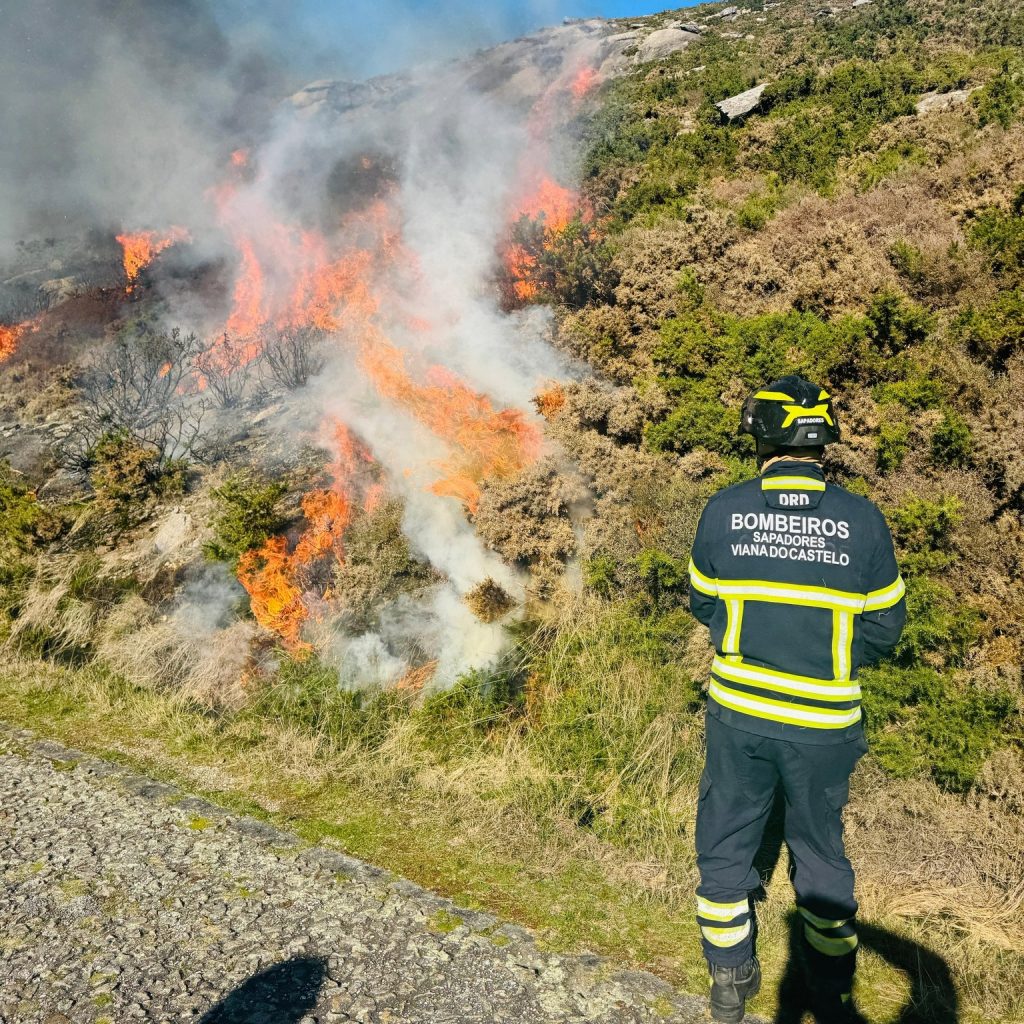 BS Viana 1 fogo controlado 2