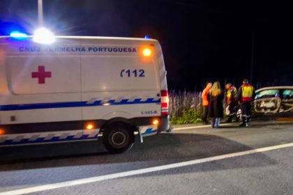 acidente EN308 viana do castelo punhe 2 - 2