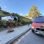 despiste arcos de valdevez