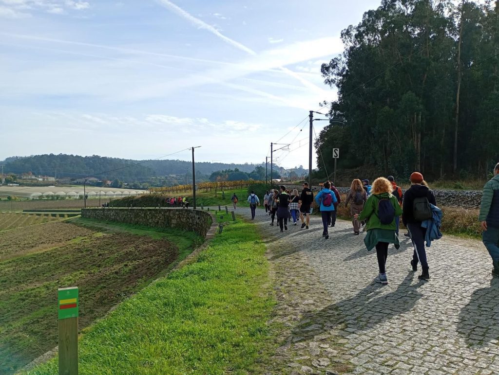 barcelos vinha copo 2