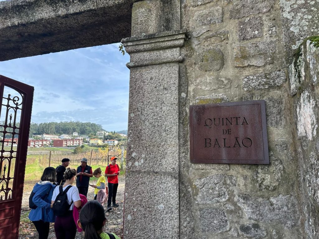 barcelos vinha copo 2